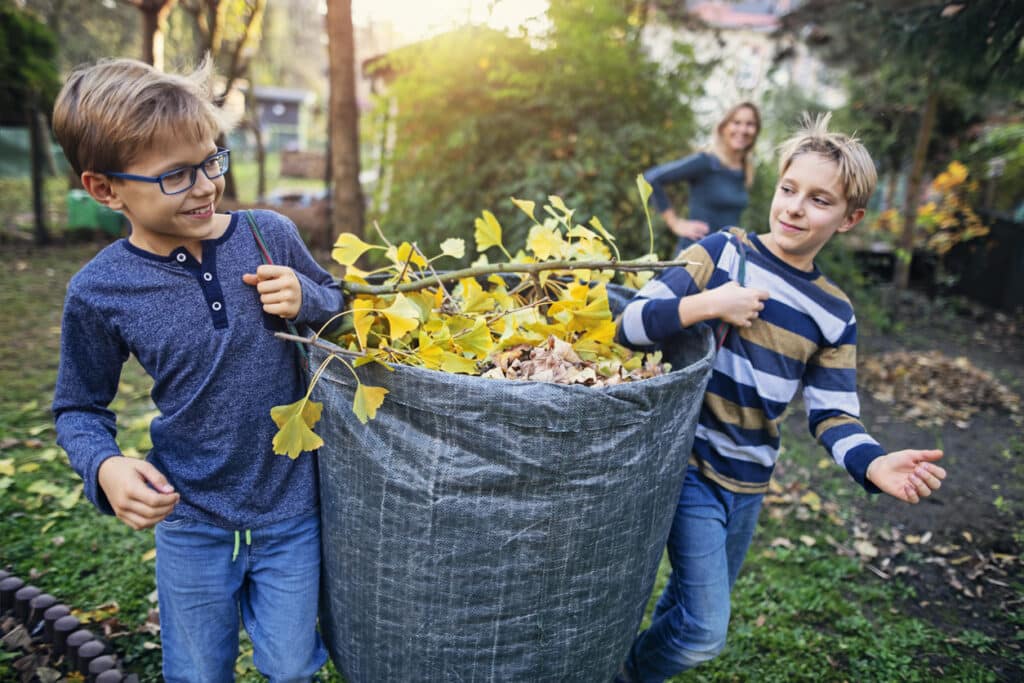 Little boys collecting autumn leaves for composting