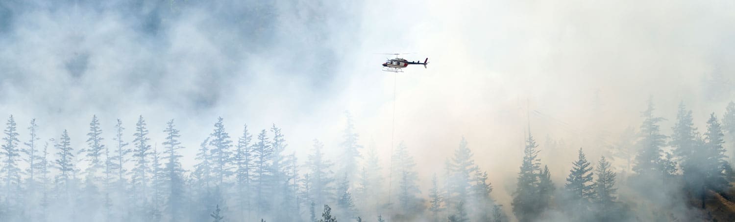 improve indoor quality water purification