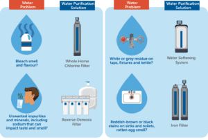 WP Solution Inforgraphic R3