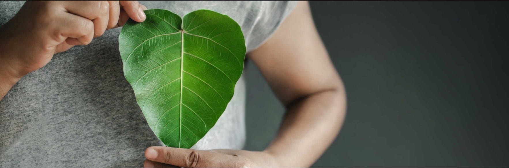 man holding leaf zoomed in